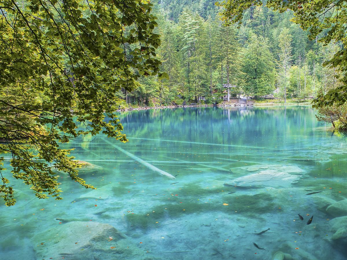 Hotel & Spa Blausee Zewnętrze zdjęcie